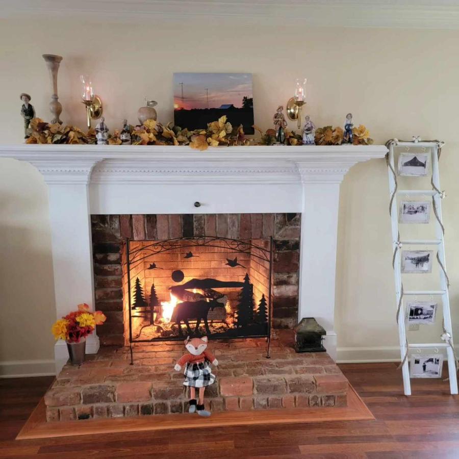 Moonlight Manor Bed & Breakfast Floyd Bagian luar foto